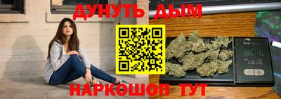 сатива Новодвинск