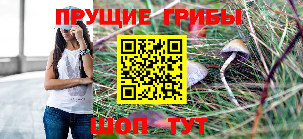 Галлюциногенные грибы Psilocybine cubensis  Вход с VPN  Саранск 